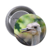 Strauß 3 anstecknadelbutton