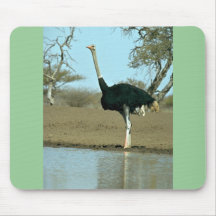 Strauß Mousepads