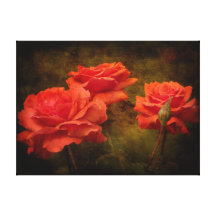 Strukturierter Pfirsich farbiger Rosen-Leinwand-Dr Leinwand Drucke