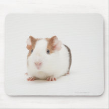 Studio geschossen vom Meerschweinchen Mauspads