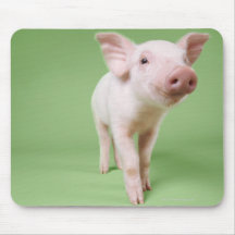 Studio herausgeschnitten von einem Ferkel stehend Mousepad