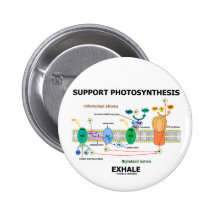 Stützphotosynthese atmen aus (umweltsmäßig) anstecknadelbuttons