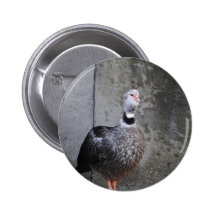 Südlicher Screamer mit Haube 2 Anstecknadel