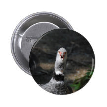 Südlicher Screamer mit Haube 4 Anstecknadelbuttons