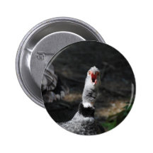 Südlicher Screamer mit Haube 5 Buttons