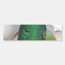 Summenvogel Autoaufkleber