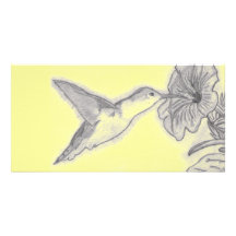 Summenvogel-Foto-Karte Foto Karte