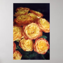 sunburstrose poster