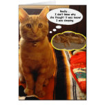 SunnyBoy die denkende und Schlafenkarte Katze