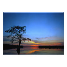 Sunset II. See-niederer Adel, Osceola Co., Florida Fotografische Drucke
