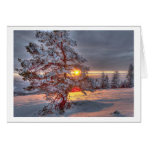 Sunset in the Black Forest Grußkarte