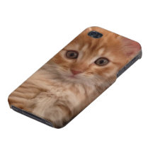 Süsse Katze iPhone Case Cats iPhone 4 Case