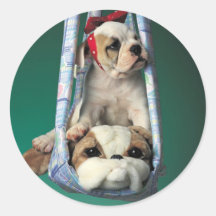 Süßer kleiner Bulldoggen-Welpe Runde Sticker