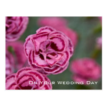 Süßer Wedding Glückwunsch Williams | Postkarte