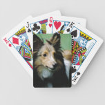 Süßes Collie-Kartenstapeles spielkarten