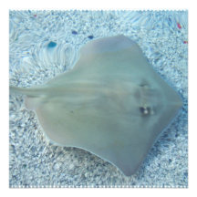 Süßwasserstingray-Einladungen