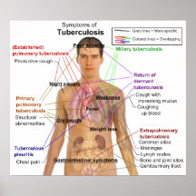 Symptom-Diagramm der Tuberkulose in den Menschen Plakate