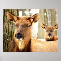 Synchronisiertes Glänzen Posterdruck