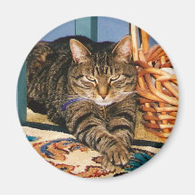 Tabby-Katzen-Magnet "Inhalt " Magnete