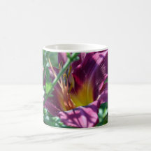 Taglilie-'Russe Rhapsody Tasse