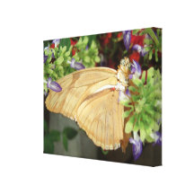 TAN-Schmetterling Leinwand Drucke