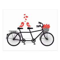 Tandemfahrrad mit niedlichen Liebevögeln postkarten