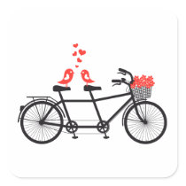 Tandemfahrrad mit niedlichen Liebevögeln aufkleber