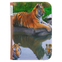 TANVIR DER TIGER -
