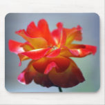 Tanzen-Rote Rose und -bedeutung Mauspads