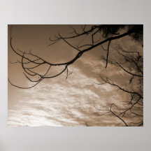Tao fließt überall NaturZen/Tao Poster