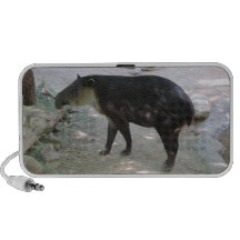 Tapir-Lautsprecher