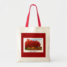 Tasche-Herbst Szene