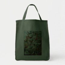 Tasche: Kolibris ("Trochilidae") durch Haeckel
