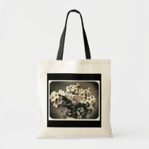 Tasche-Vintager Fotografie-Adolphe Braun 8