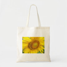 Taschen-Sonnenblume-Ruhm