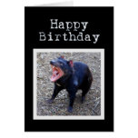 Tasmanischer Teufel-alles Gute zum Geburtstag Karte