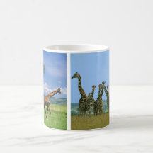 Tasse Giraffen Herde