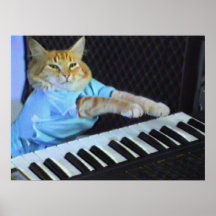 Tastatur-Katzen-Wand-Plakat!