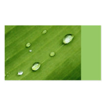 Tau auf Blatt-Natur-Visitenkarten
