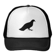 Taube Kult Cap