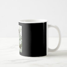 Tauben-beklagentaube John James Audubons Carolina Tee Tasse