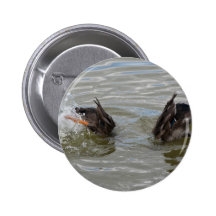 tauchender Knopf der Enten Buttons