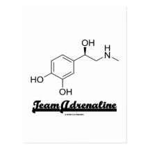 Team-Adrenaline (chemischer Molekül-Spaß) Postkarte