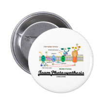 Team-Fotosynthese (lichtabhängige Reaktionen) Anstecknadel