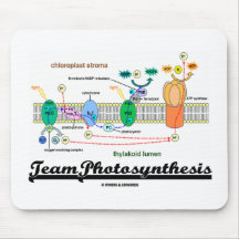 Team-Fotosynthese (lichtabhängige Reaktionen) Mousepads