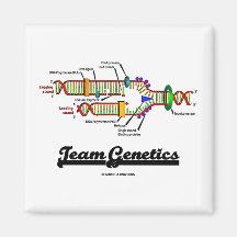 Team-Genetik (DNS-Reproduktion) Kühlschrankmagnet