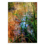 Teich II Grußkarte