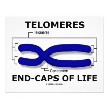 Telomeres Ende-Kappen des Lebens (Biologie-Spaß) Ankündigungskarten
