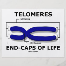 Telomeres Ende-Kappen des Lebens (Biologie-Spaß) Personalisierte Flyer