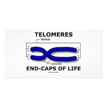 Telomeres Ende-Kappen des Lebens (Biologie-Spaß) Bildkarten